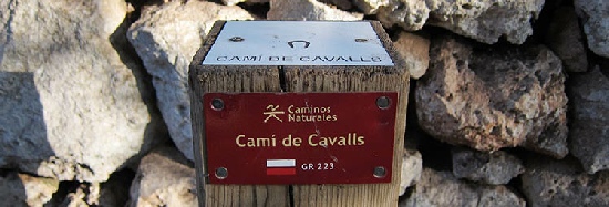 Cami De Cavalls